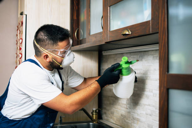 Best Affordable Exterminators  in Westernport, MD