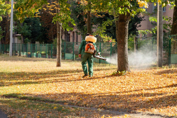 Trusted Westernport, MD Pest Control Experts