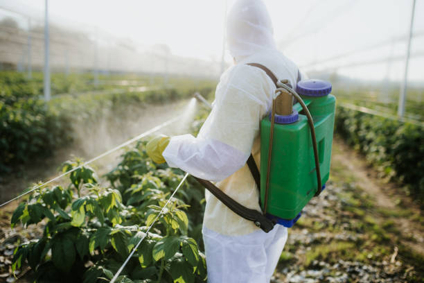Best Best Pest Control Companies  in Westernport, MD